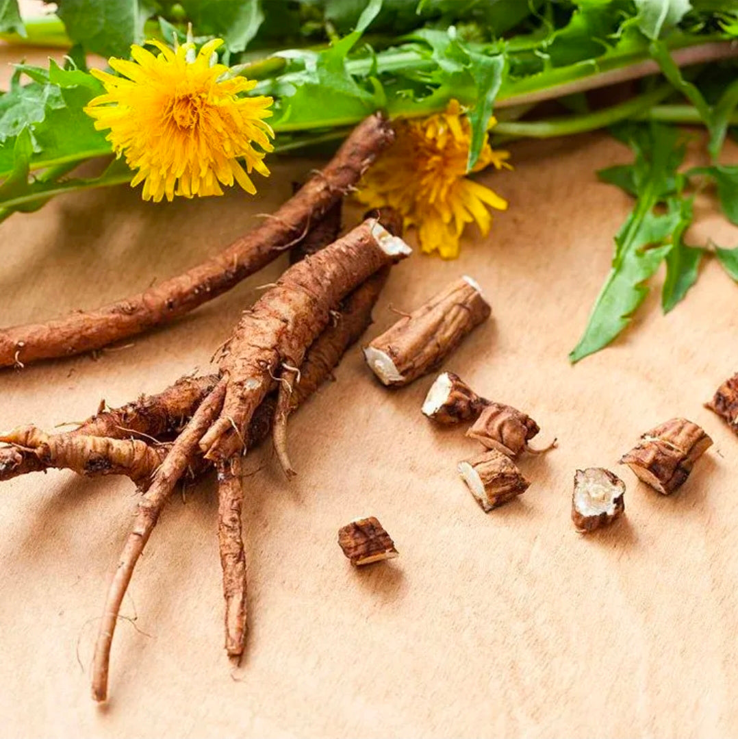Dandelion Root